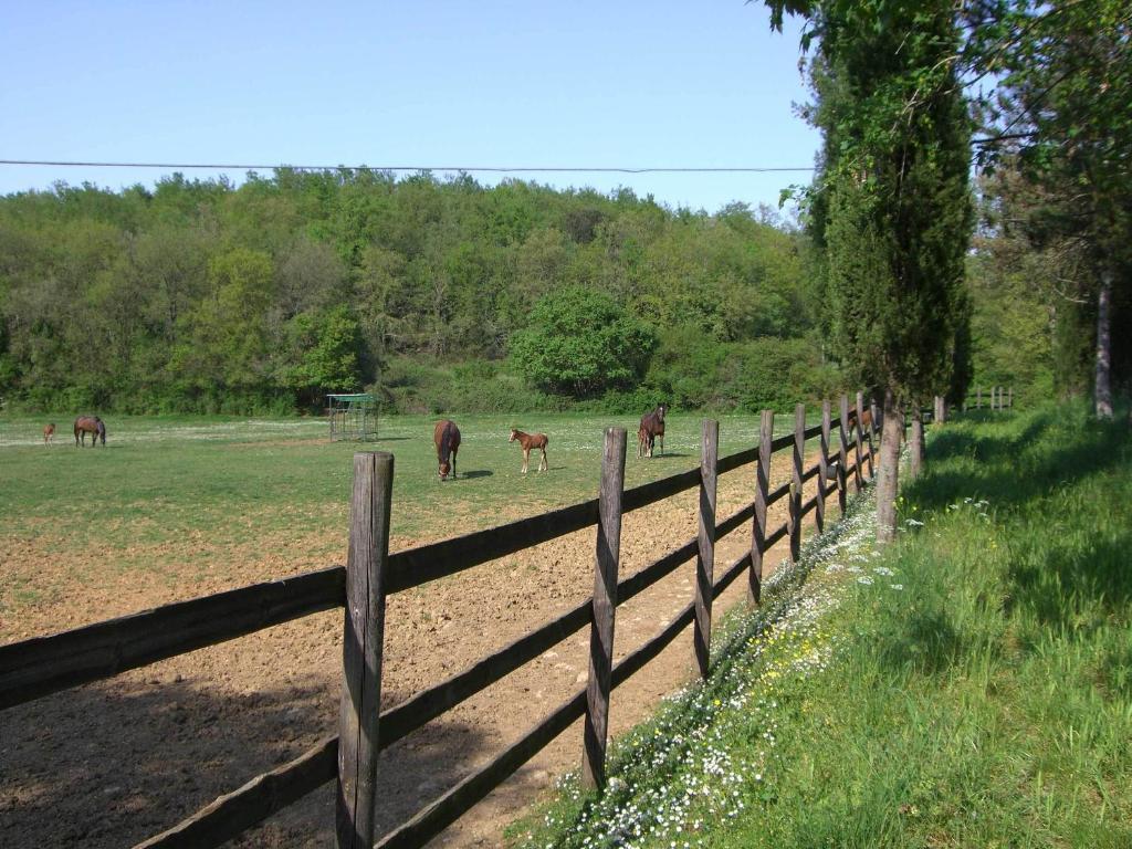 Agriturismo La Selva Villa Siena Exteriör bild